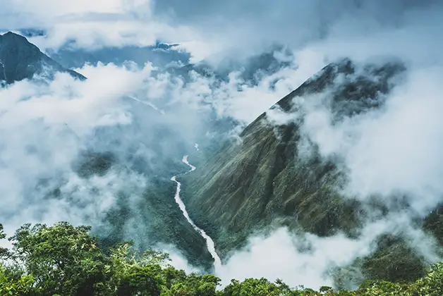 salkantay trek jungle cloud forest